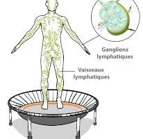 Exercices lymphatiques spécifiques pour mini-trampoline